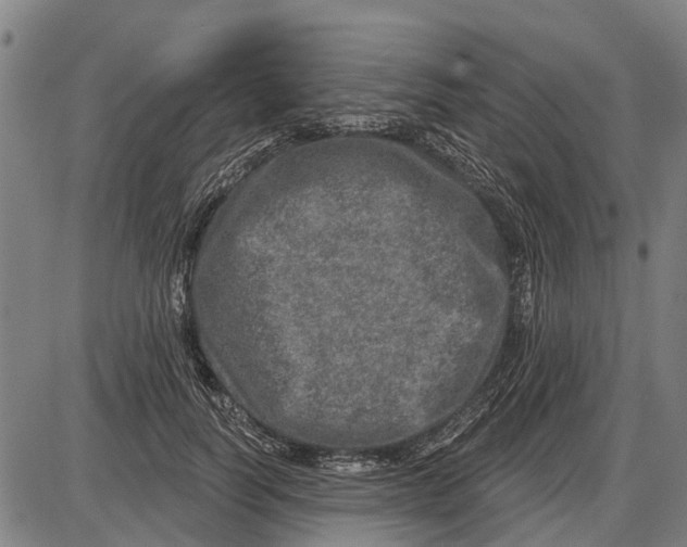 X0000085000746200703261128