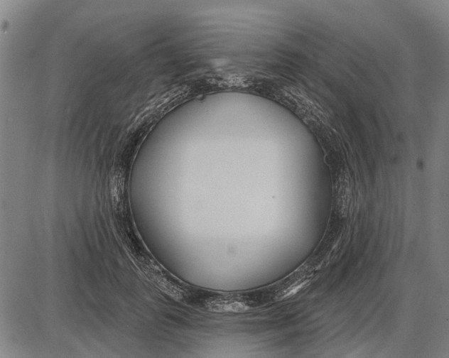 X0000085000747200703261128