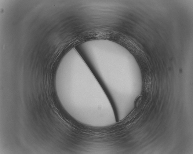 X0000085000748200703261128