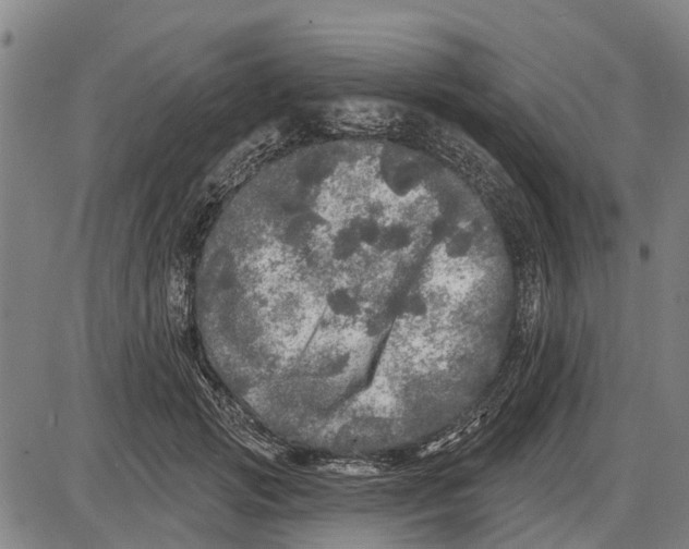 X0000085000749200703261128