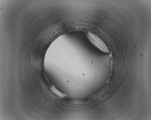 X0000085000750200703261128