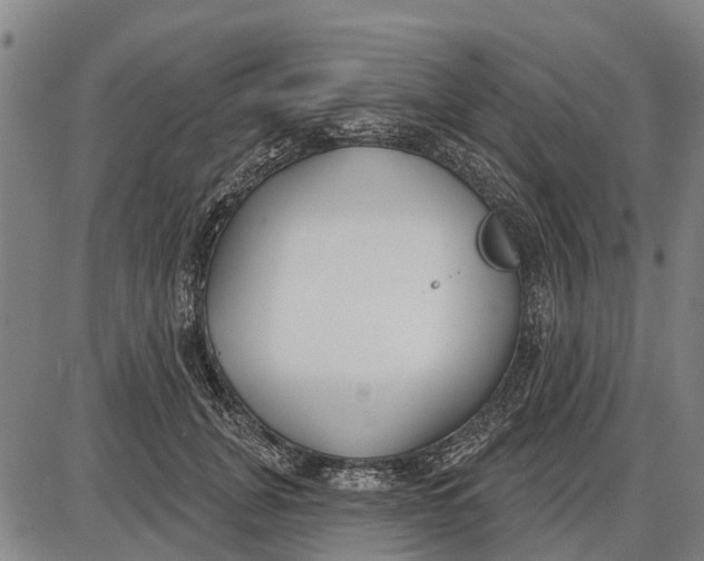 X0000085000751200703261128