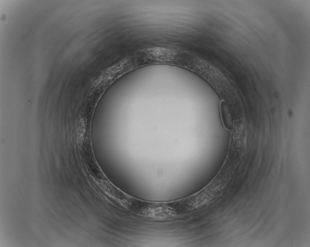 X0000085000752200703261128