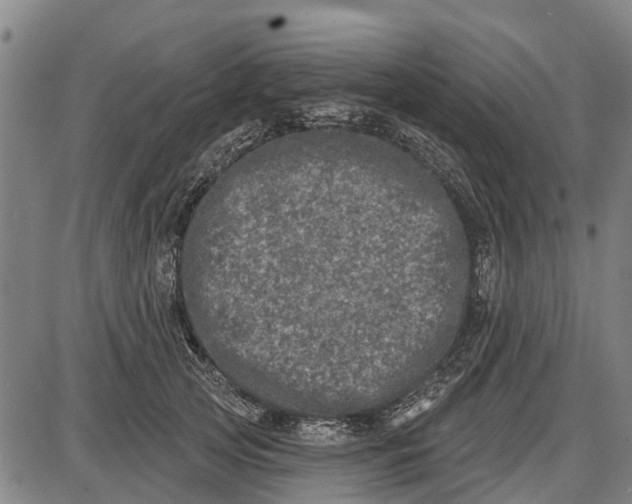 X0000085000753200703261128