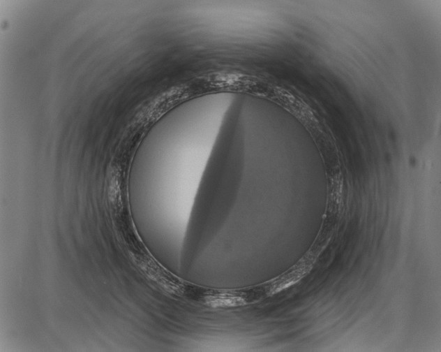 X0000085000754200703261128