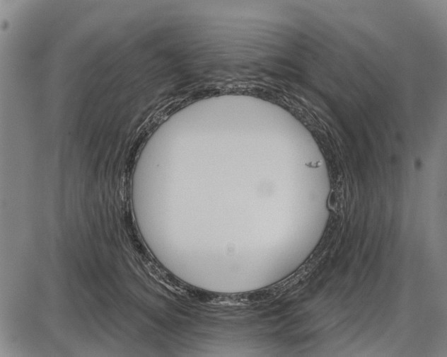 X0000085000756200703261128