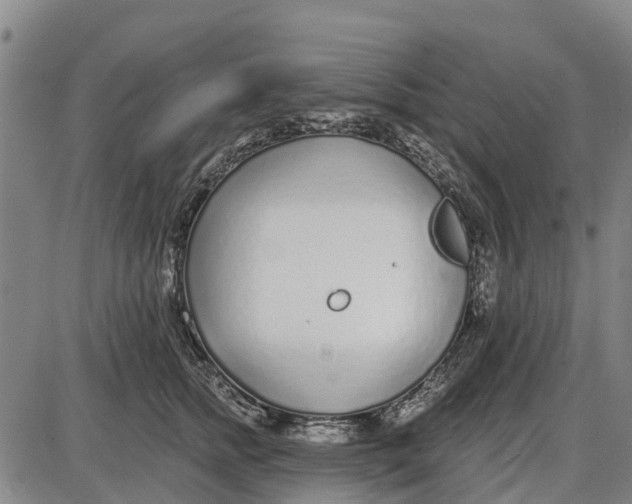 X0000085000758200703261128