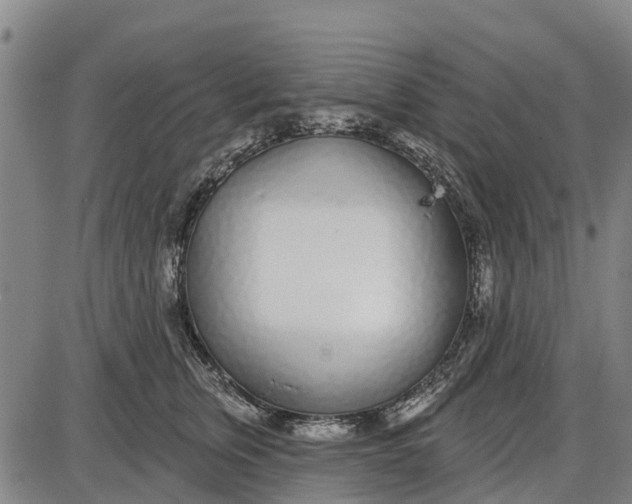 X0000085000759200703261128