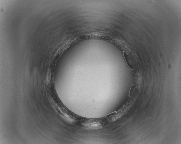 X0000085000760200703261128