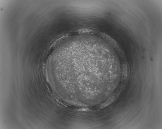 X0000085000761200703261128