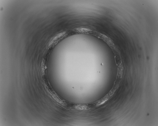 X0000085000762200703261128