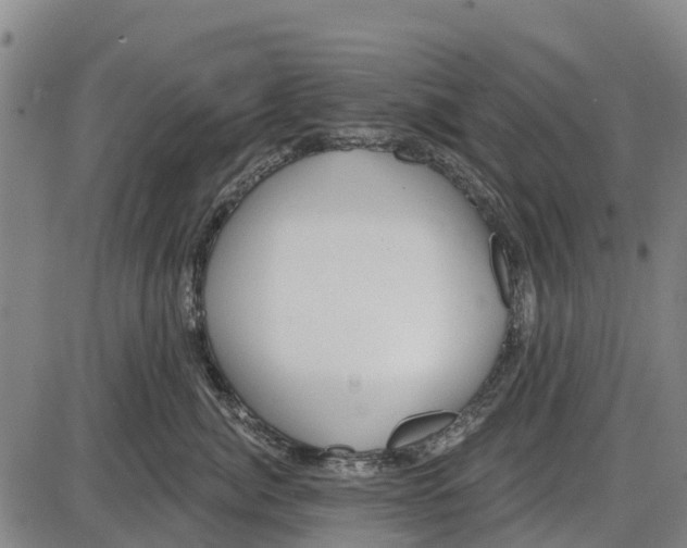 X0000085000764200703261128