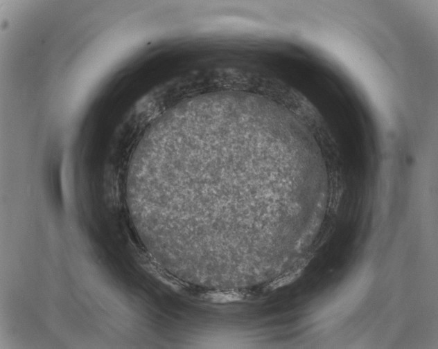 X0000085000765200703261128