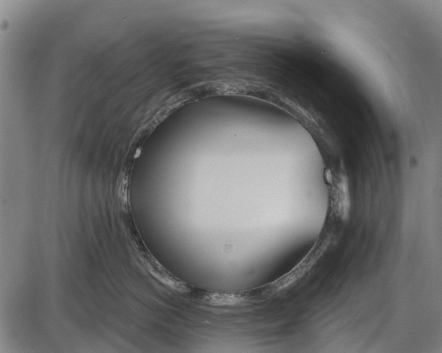 X0000085000766200703261128