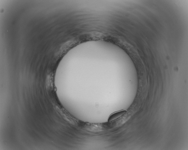 X0000085000768200703261128