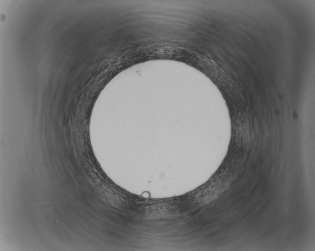 X0000085000769200703261128