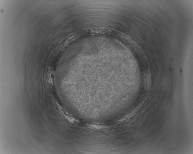 X0000085000770200703261128