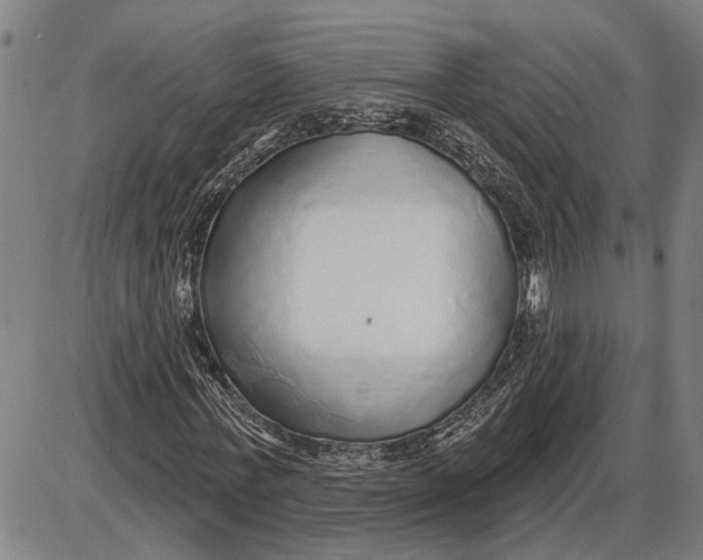 X0000085000771200703261128