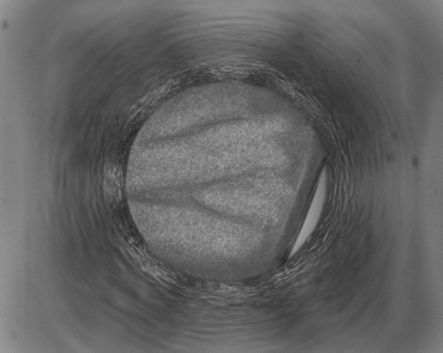 X0000085000772200703261128