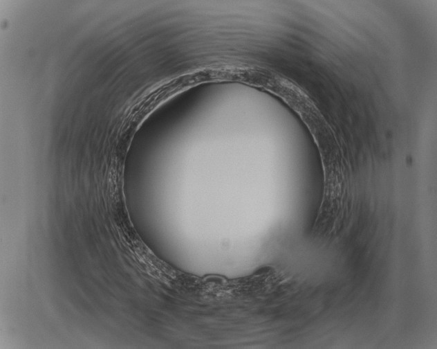 X0000085000773200703261128