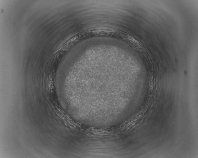 X0000085000774200703261128