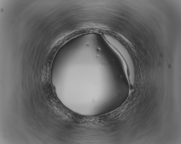 X0000085000775200703261127