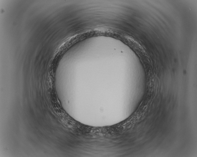 X0000085000776200703261127