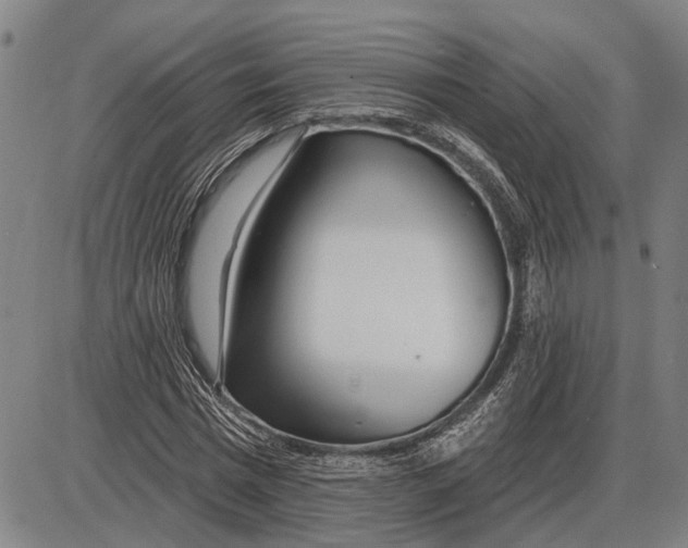 X0000085000777200703261127