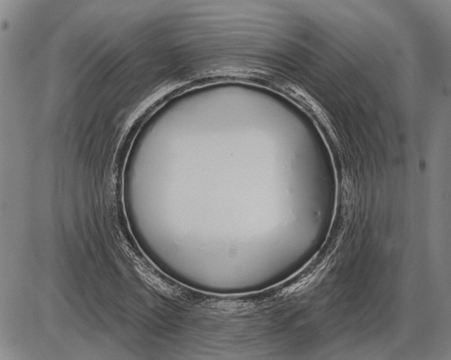 X0000085000779200703261127