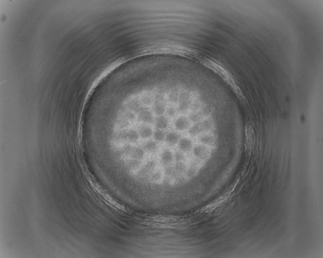 X0000085000780200703261127