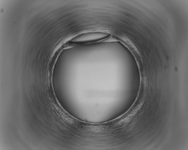 X0000085000781200703261127