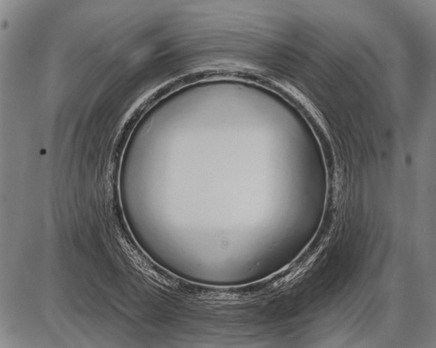 X0000085000783200703261127