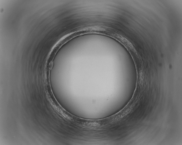 X0000085000784200703261127