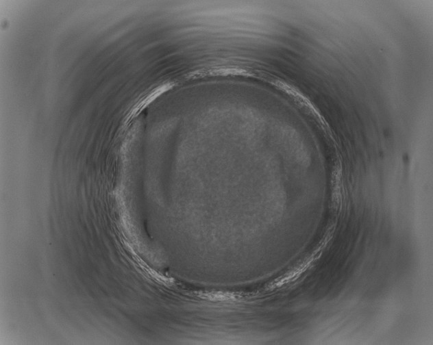 X0000085000785200703261127