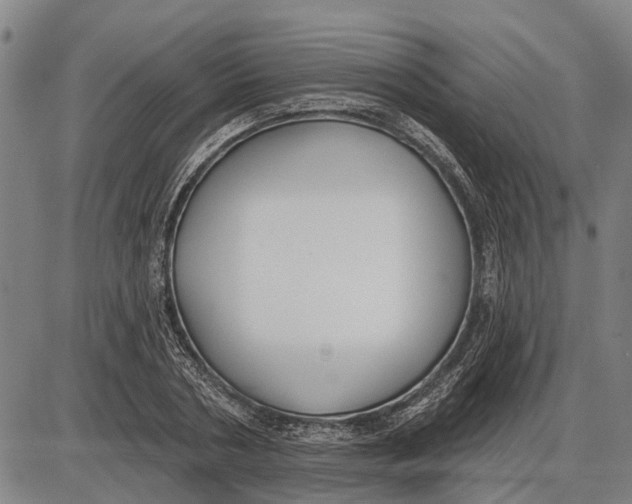 X0000085000786200703261127