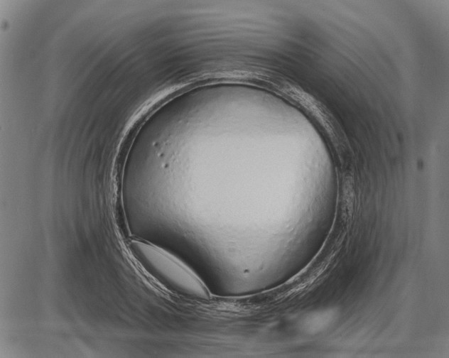 X0000085000787200703261127