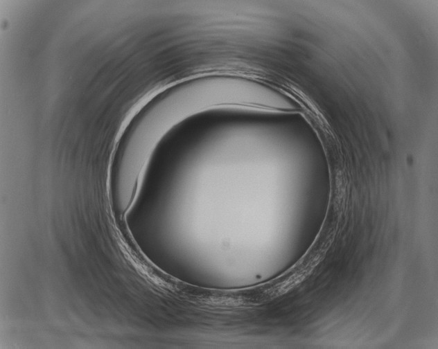 X0000085000788200703261127