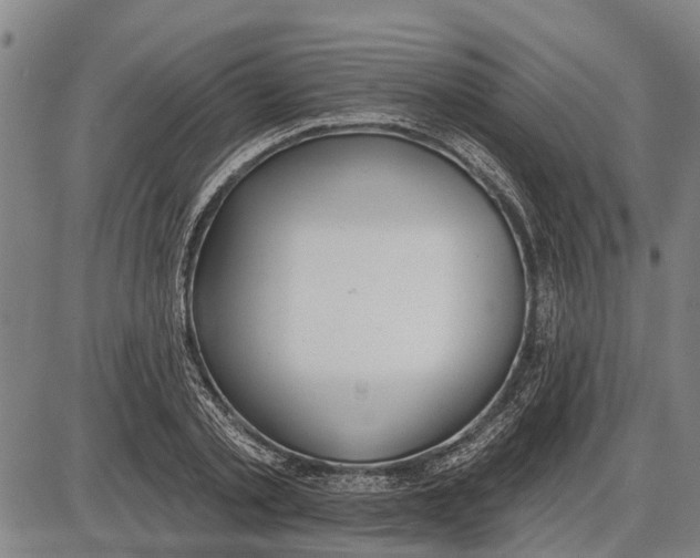 X0000085000789200703261127