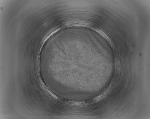 X0000085000790200703261127