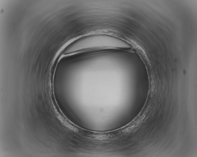 X0000085000792200703261127