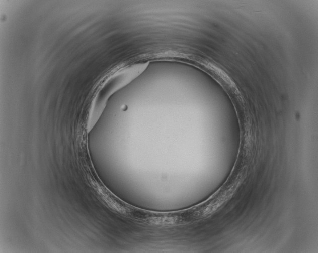 X0000085000793200703261127