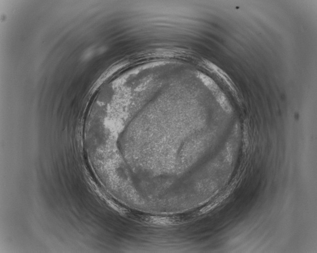 X0000085000794200703261127