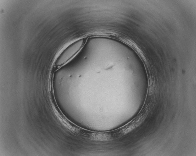 X0000085000795200703261127