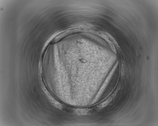 X0000085000796200703261127