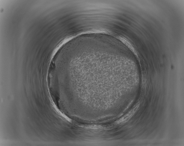 X0000085000797200703261127