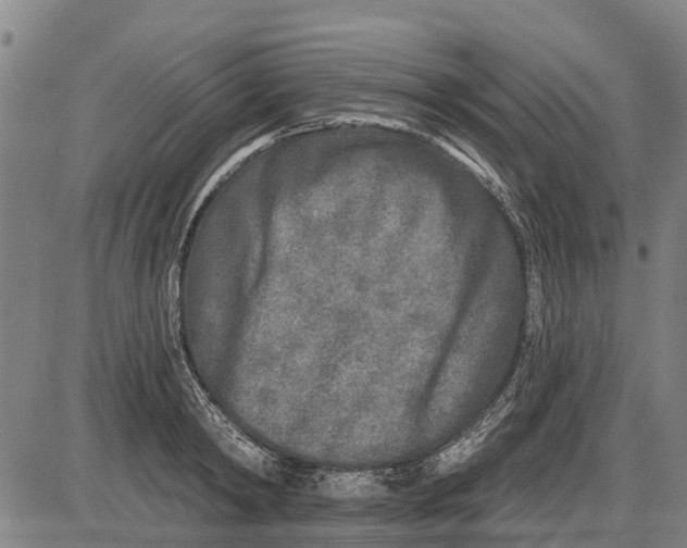 X0000085000798200703261127