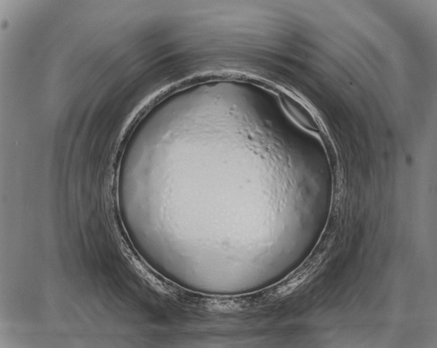 X0000085000799200703261127