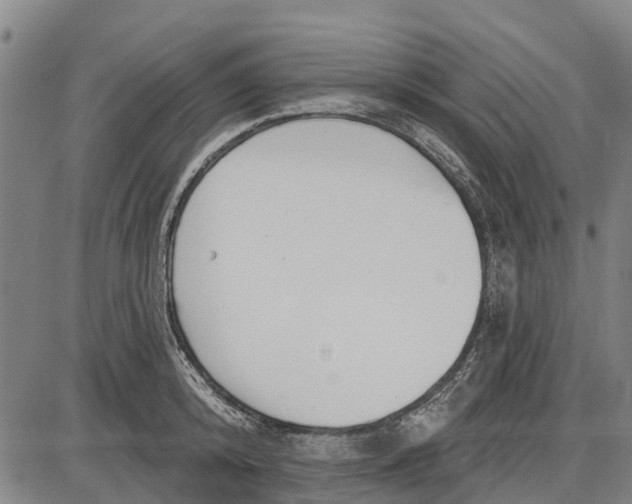 X0000085000800200703261127