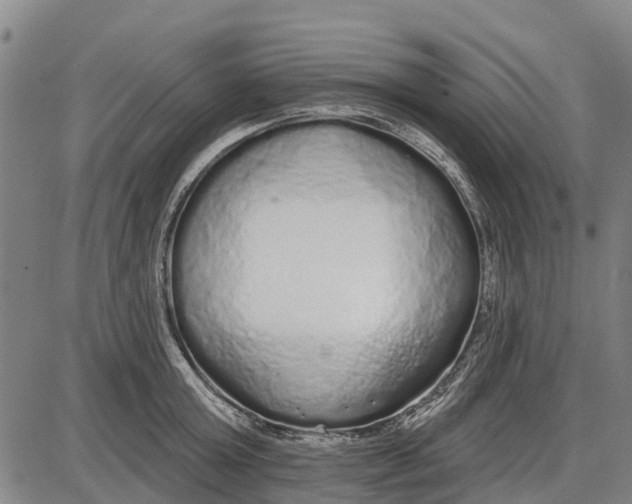 X0000085000803200703261127