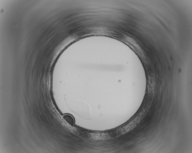 X0000085000804200703261127